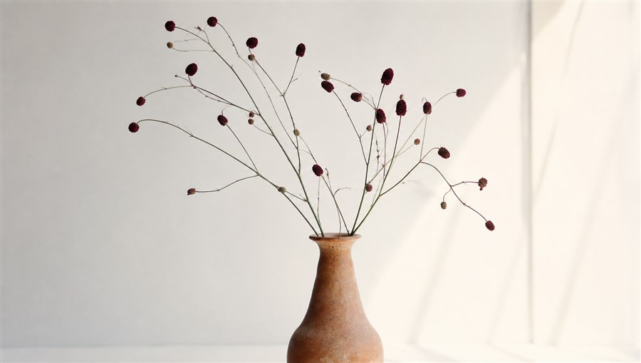Dried branches in a vase